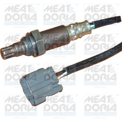 Oxygen Sensor